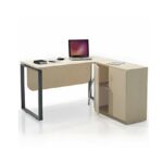 OPD Doctor Desk